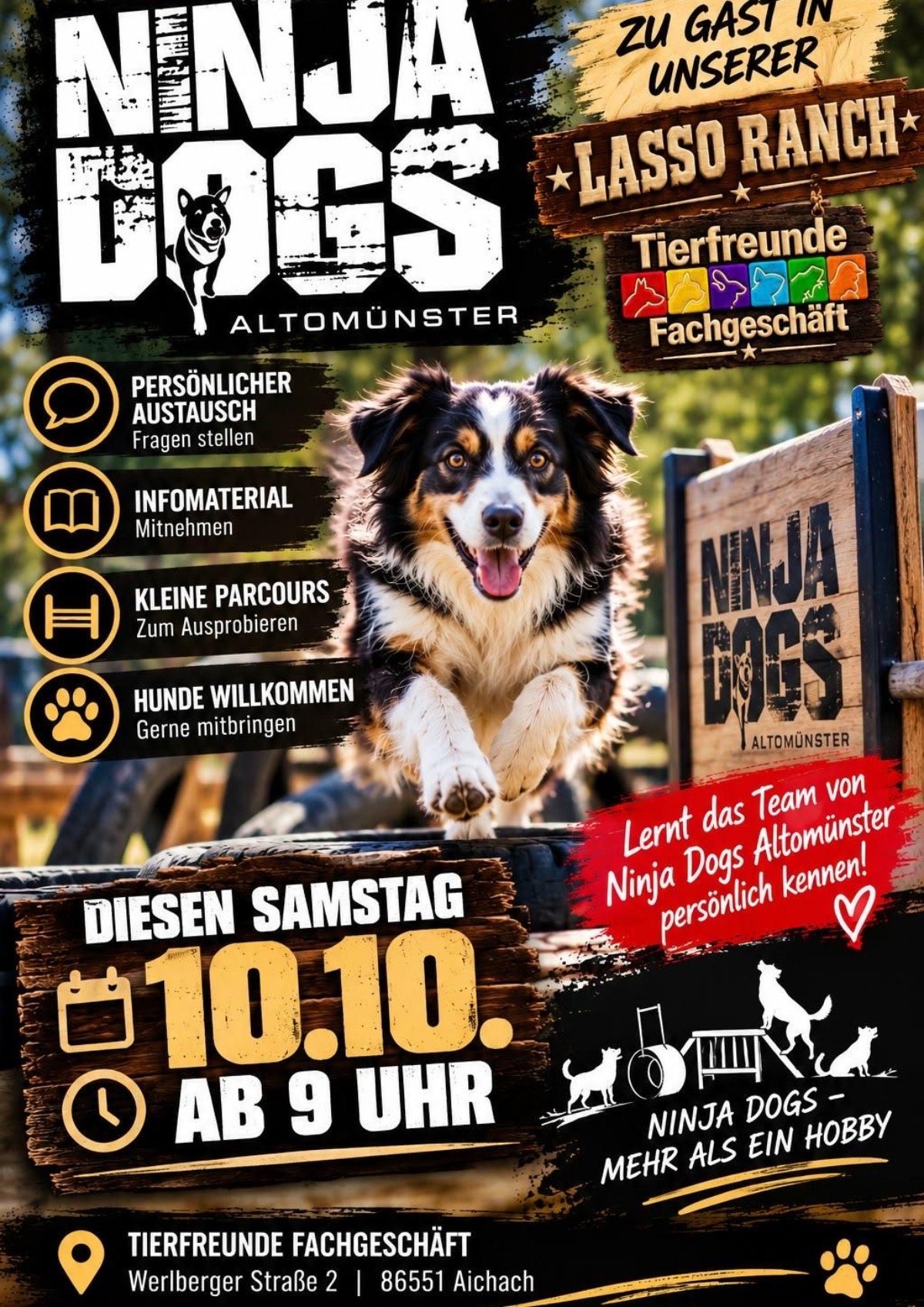 NinjaDogs im Tierfreunde Fachgeschäft NinjaDogs im Tierfreunde Fachgeschäft